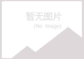 海晏县山柏建设有限公司